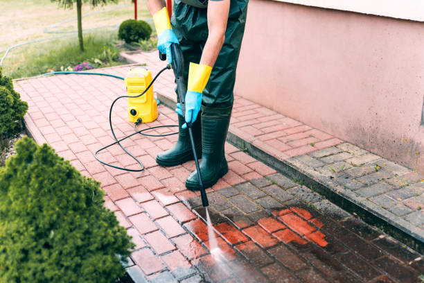 Best Sidewalk Pressure Washing  in Cactus Flats, AZ